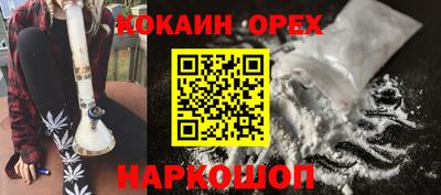 кокс Кингисепп