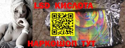 кокс Кингисепп
