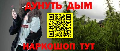 кокс Кингисепп