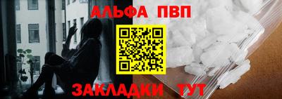 кокс Кингисепп