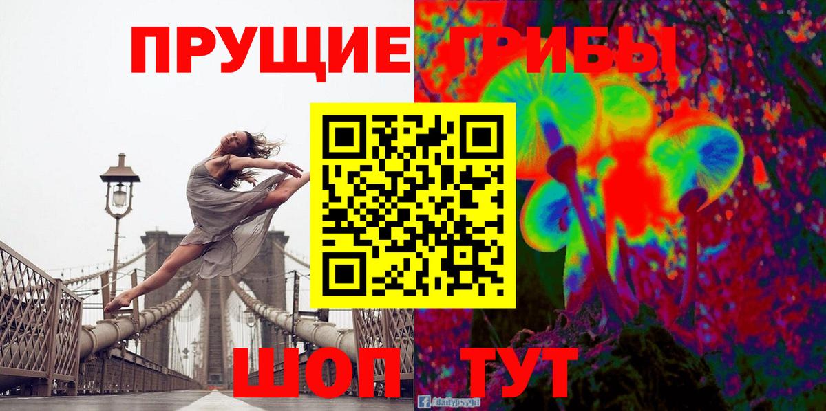 Карпинск  Псилоцибиновые грибы Psilocybine cubensis  Вход с VPN  Псилоцибиновые грибы Psilocybe 