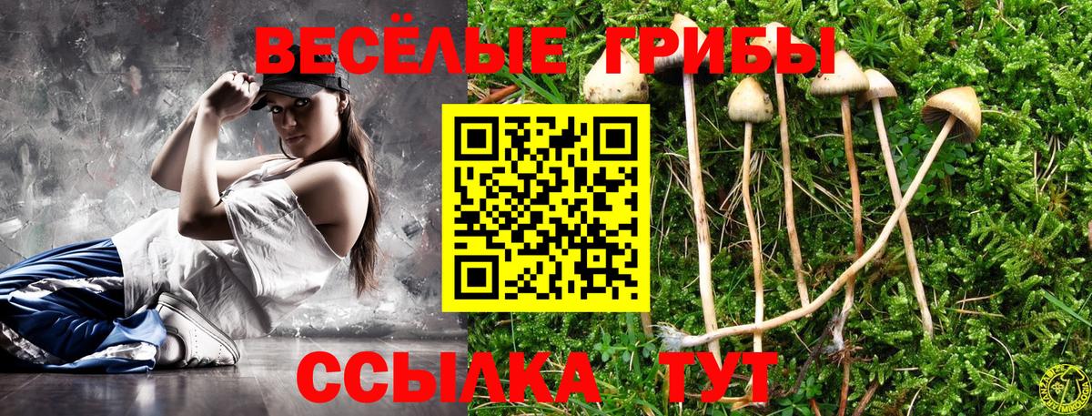 Галлюциногенные грибы Psilocybe Карпинск